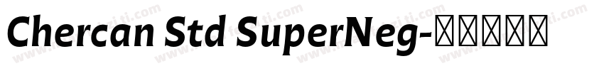 Chercan Std SuperNeg字体转换